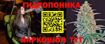 jwh Вышний Волочёк