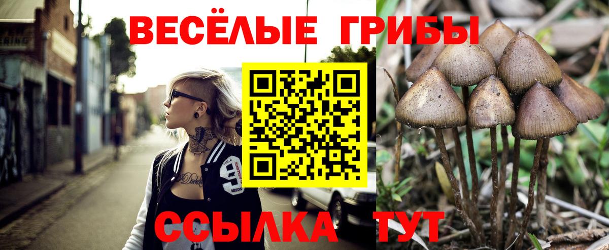 Галлюциногенные грибы прущие грибы Алексин