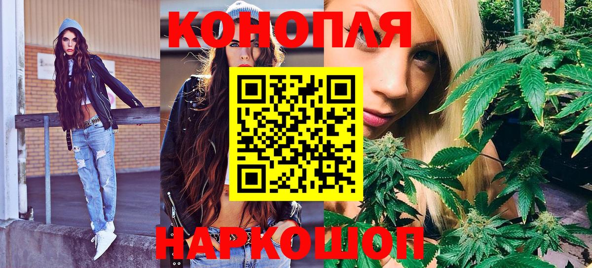 Каннабис White Widow  Бошки марихуана Ganja  Каннабис OG Kush  Алексин  Шишки марихуана семена 